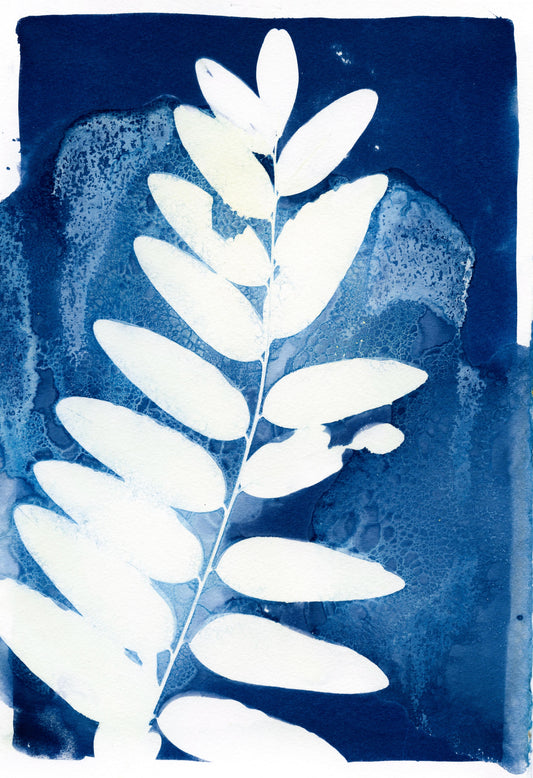 Cyanotype (framed)