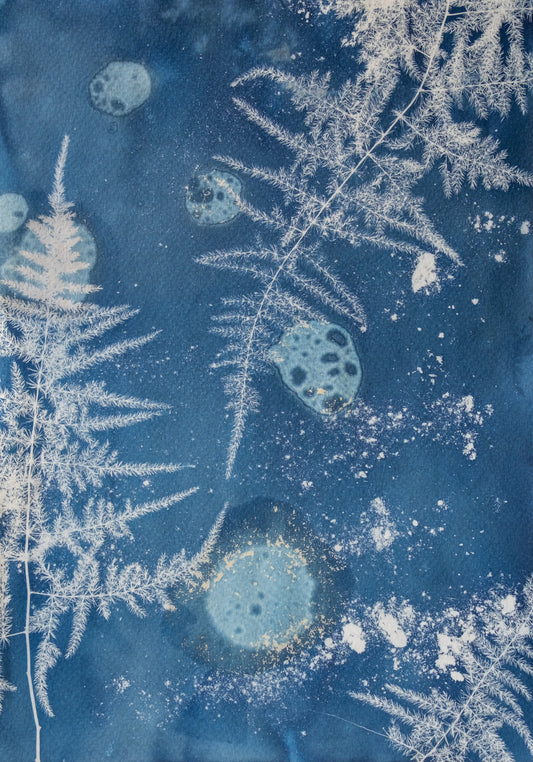 Cyanotype (unframed)