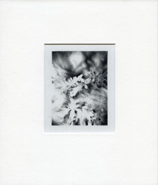 Framed Pencil Drawing