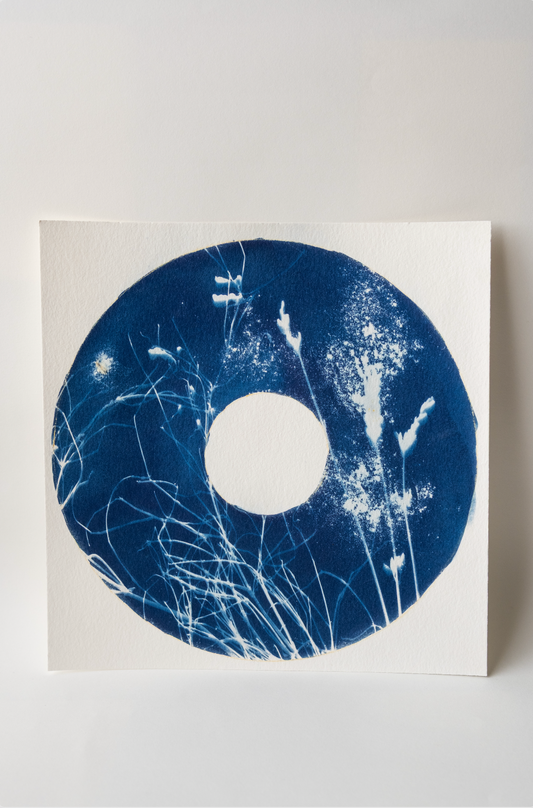 Cyanotype (unframed)
