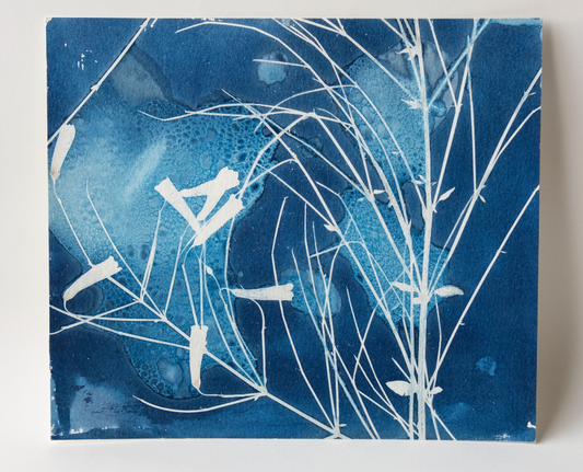 Cyanotype (unframed)