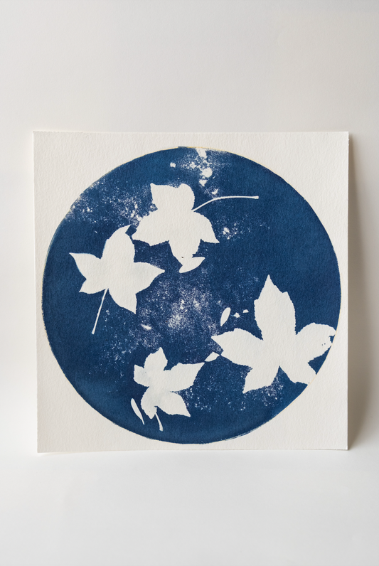 Cyanotype (unframed)