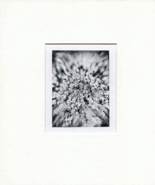 Framed Pencil Drawing