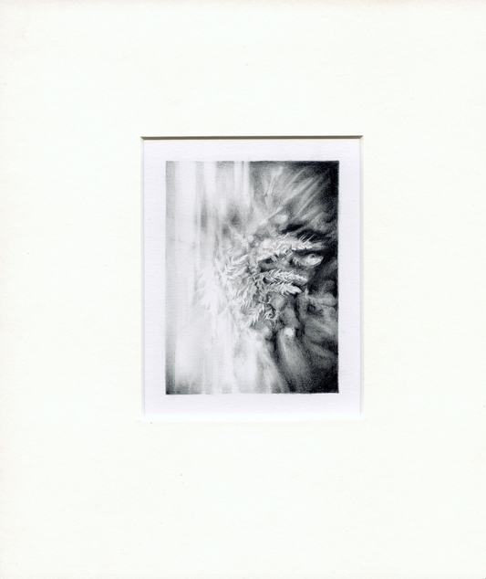 Framed Pencil Drawing