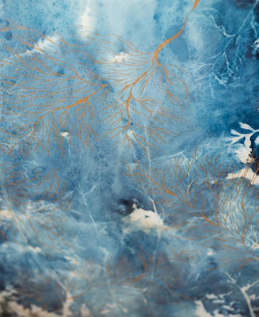 Cyanotype (unframed)